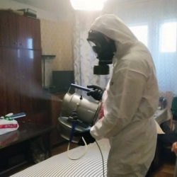 Дезинфекция от клопов в Добрянке
