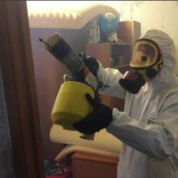 Уничтожение клопов в квартире. Добрянка
